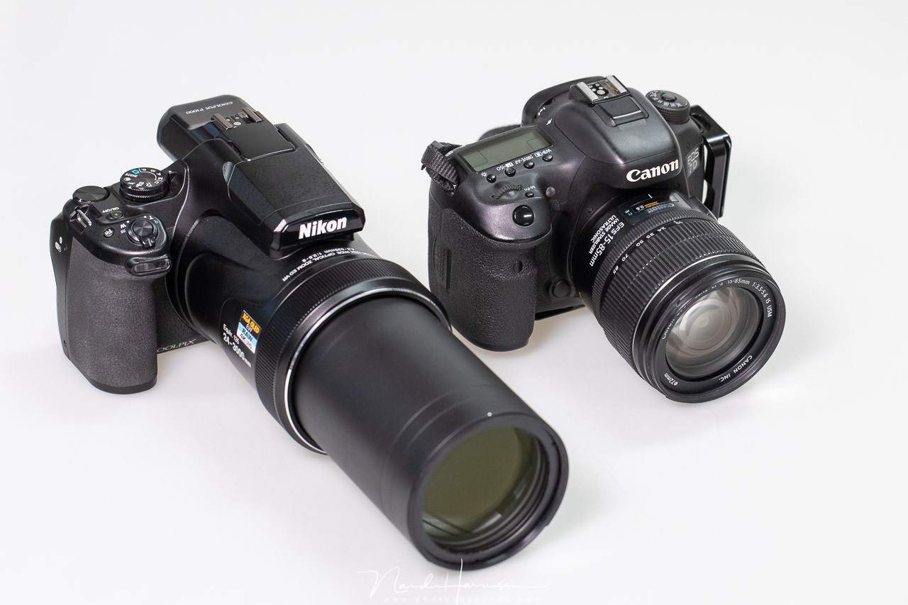 A Review: Shooting With the Nikon Coolpix P1000 | Fstoppers