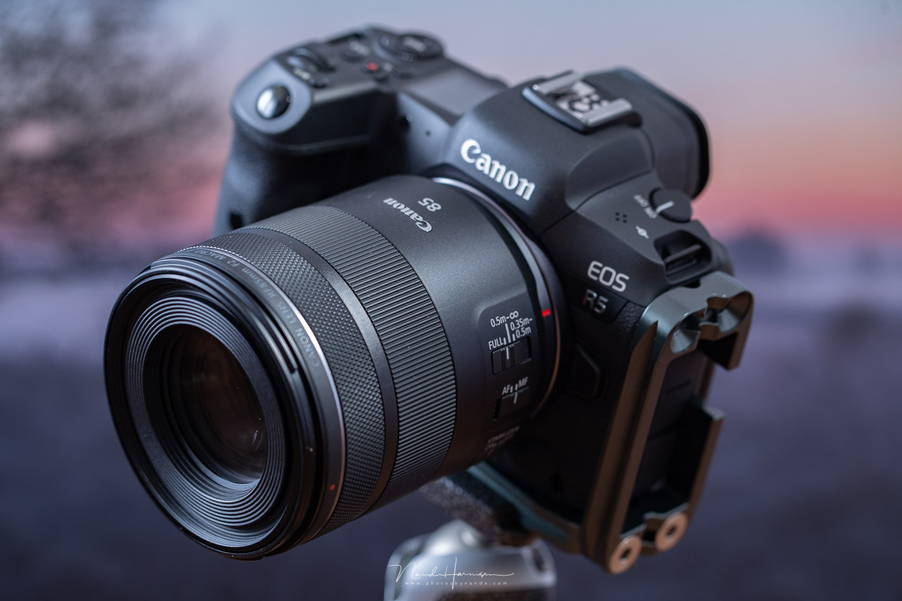 Canon RF 85mm F2 Macro IS STM 美品 Canon RF 85mm f/2 Macro IS STM Lens