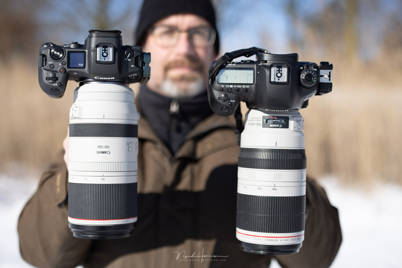 We Review the Canon RF 100-400mm f/5.6-8 IS USM, an Affordable