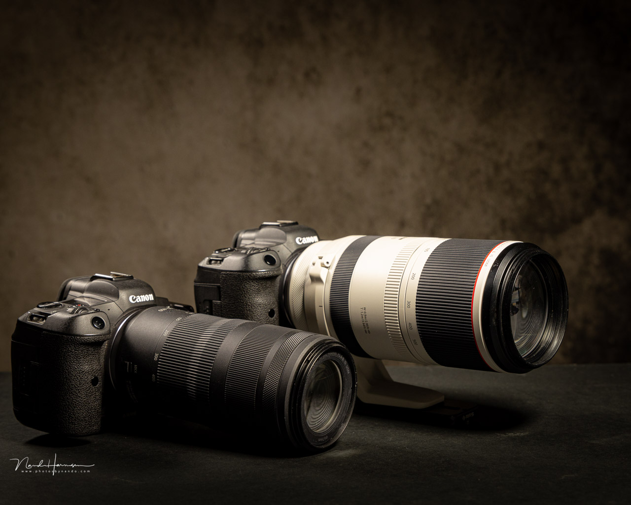 We Review the Canon RF 100-400mm f/5.6-8 IS USM, an Affordable