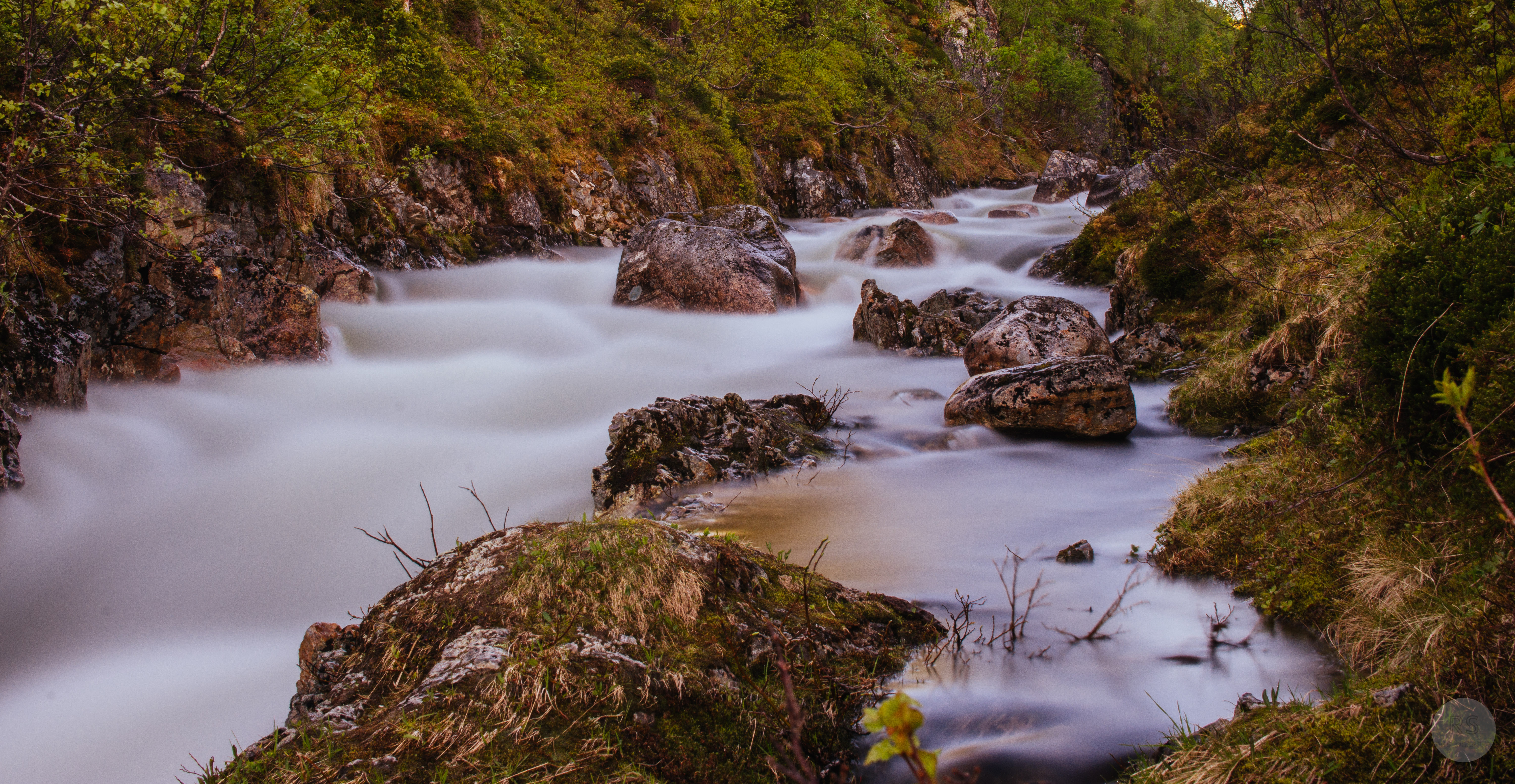 Nordic Summer Stream by Rob South | Fstoppers