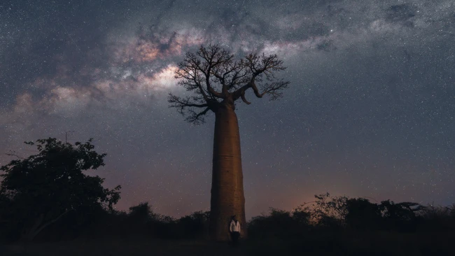 A Practical Guide To Milky Way Photography