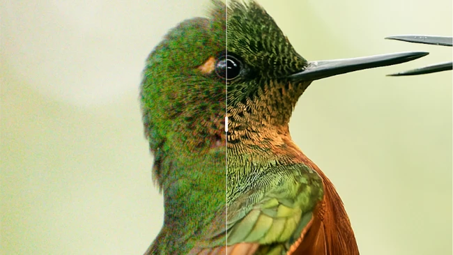 DXO Gives Photographers a Major Update with PureRAW 6