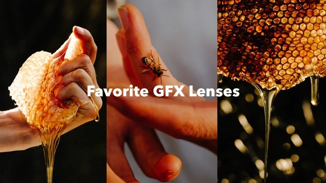 Graphic showcasing three macro photography examples with warm lighting and shallow depth of field