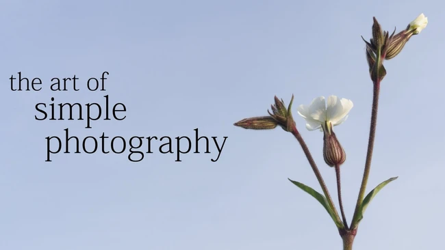 Graphic with text reading 'the art of simple photography' alongside delicate white flowers with buds against a soft blue background