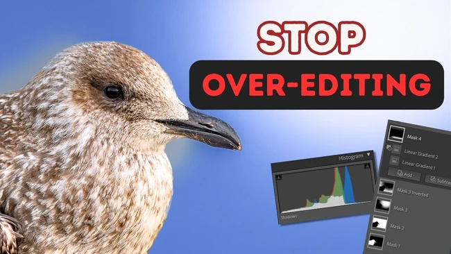 Graphic illustration featuring a seabird against blue sky with histogram display and text reading 'STOP OVER-EDITING'