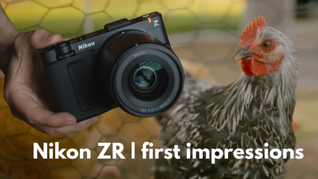 Hand holding Nikon ZR camera next to a white and red rooster outdoors