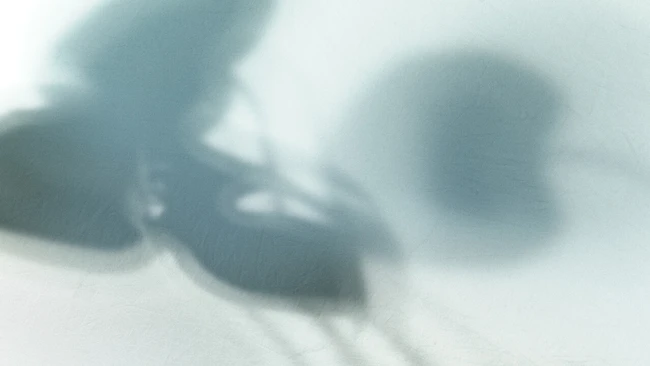 Blurred abstract composition with overlapping spherical and organic forms in muted blue-grey tones