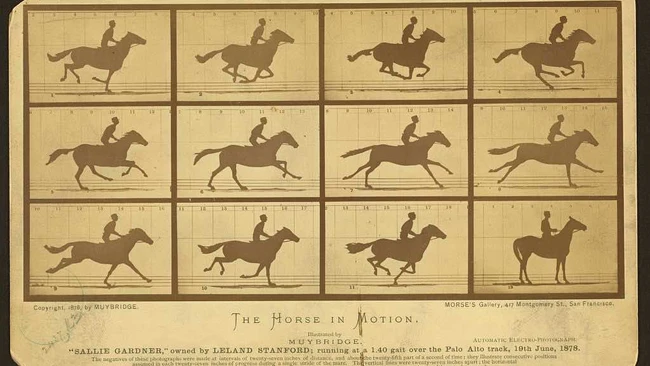 Illustration of horse and rider in motion across 12 sequential frames showing galloping progression