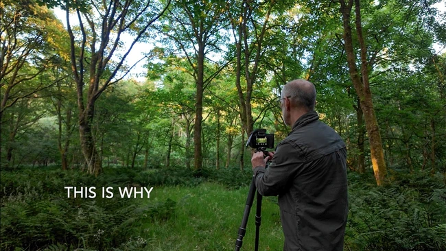Photographer with camera on tripod in forest setting