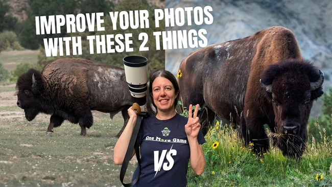 Photographer holding telephoto lens standing between two bison in grassland setting