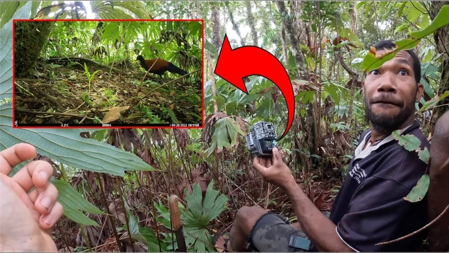 Wildlife photographer in dense jungle forest demonstrates camera technique while documenting animal in natural habitat