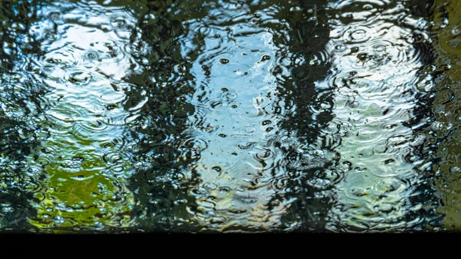 Underwater view through glass showing rippling water surface with light reflections and vegetation