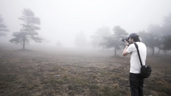 Photographer in white shirt shooting in dense fog among scattered trees