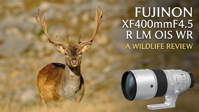 Male deer with large antlers facing camera, with Fujinon XF400mm F4.5 lens displayed beside it