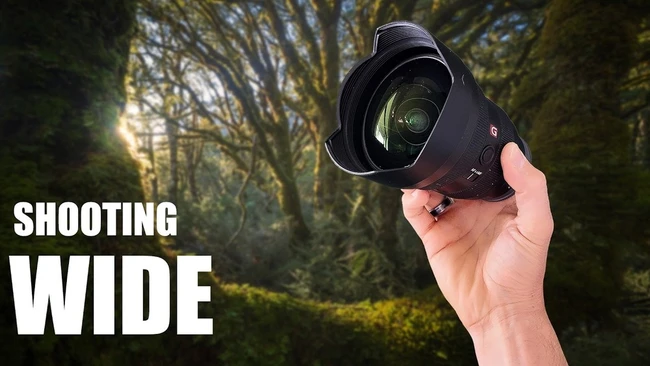 Hand holding a wide-angle lens with lens hood against a forest canopy backdrop
