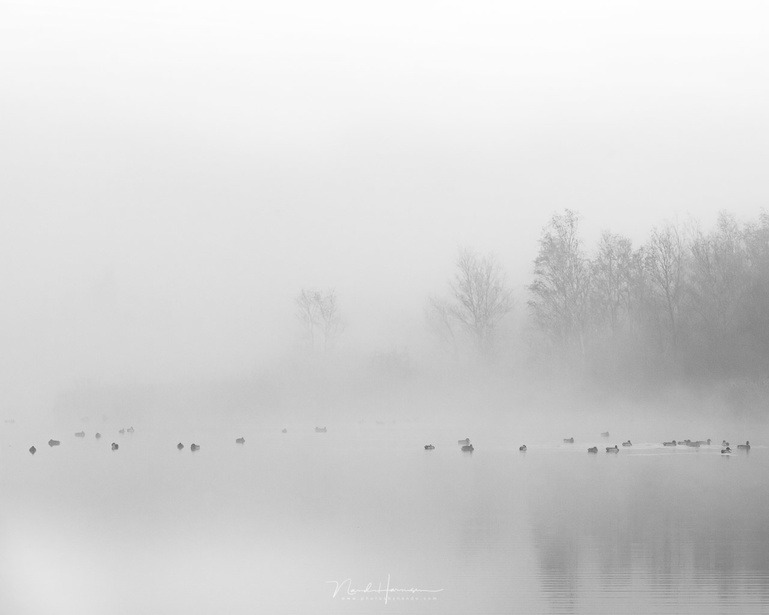 A Closer Look at High Key and Low Key Photography | Fstoppers