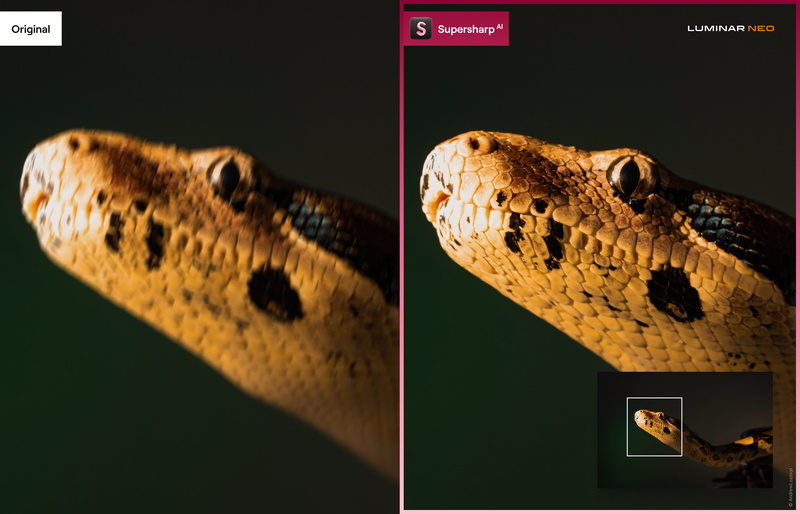 Skylum Reveals Neo's Next Extension: Supersharp AI | Fstoppers