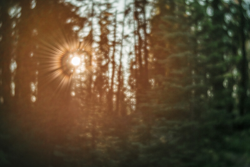 lensbaby soft focus trio 28