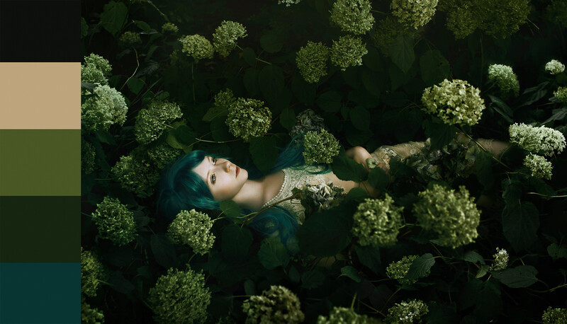 Photo by Bella Kotak 