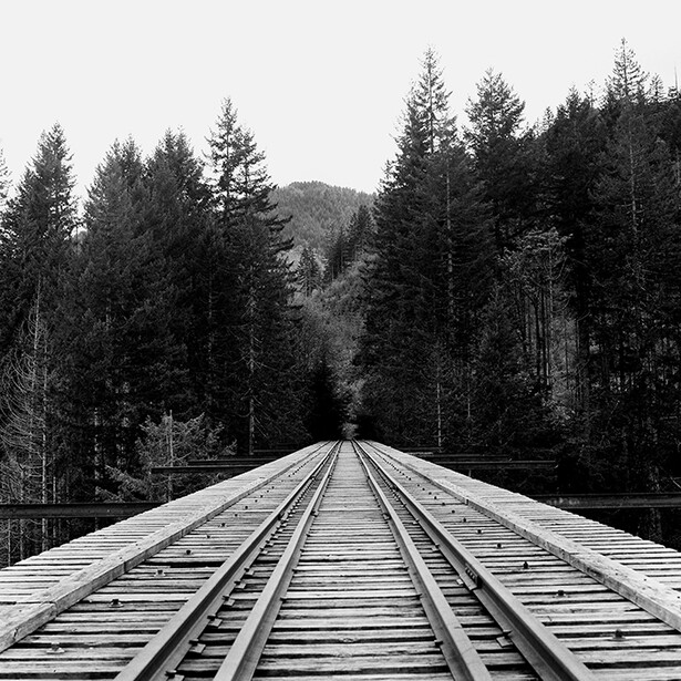 Vance Creek Bridge - Hasselblad 500CM - Kyle Ford