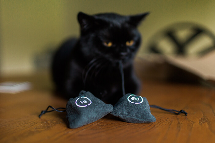 Onyx and Moment Lenses