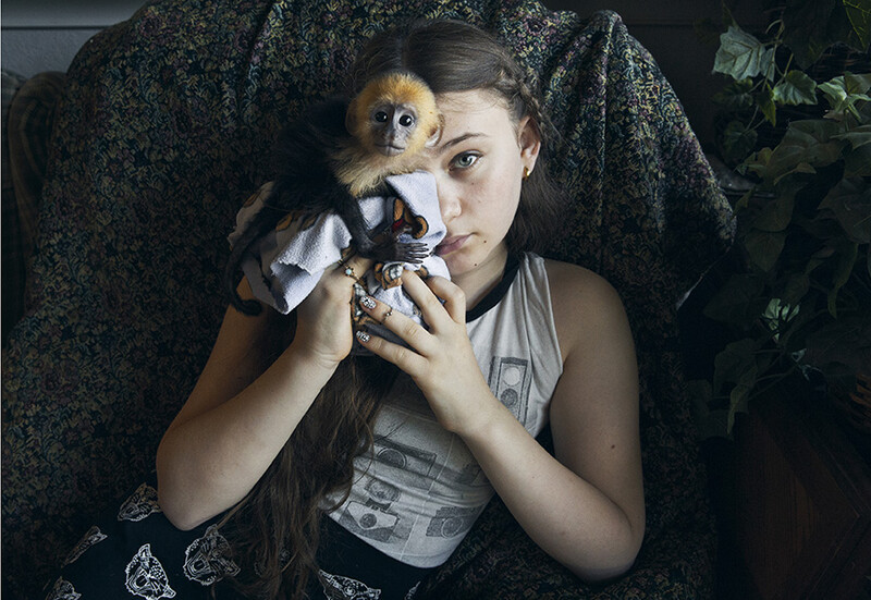 Doug, Baby Capuchin, 2013, from Amelia and the Animals