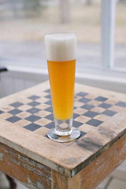 Cream Ale Photo