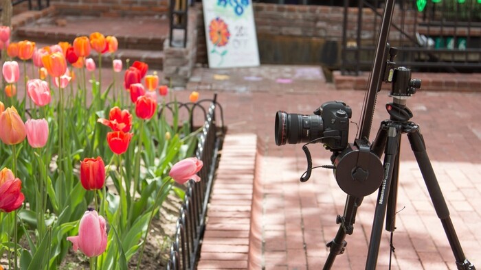 Radian-Timelapse-Gear-Motion