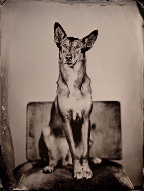 A wet plate collodion portrait by Patrick Andrade