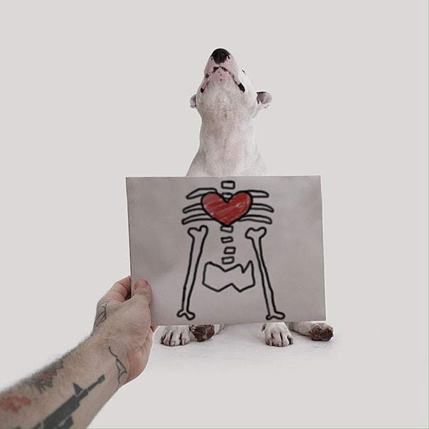 Jimmy the Bull Fstoppers