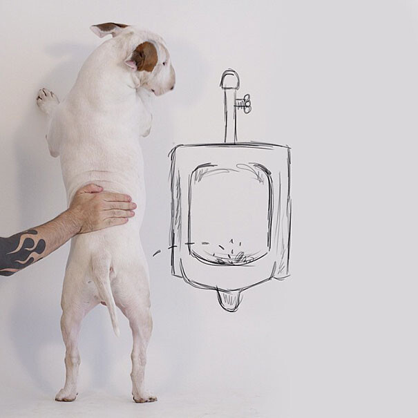 Jimmy the Bull Fstoppers