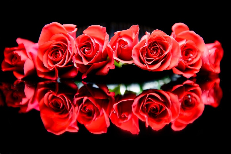 flower Lighting