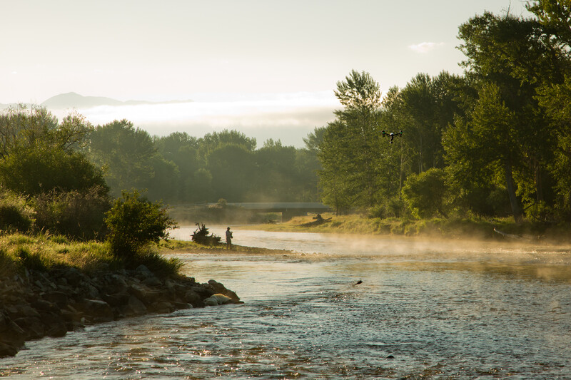 Foster-Visual-Montana-3