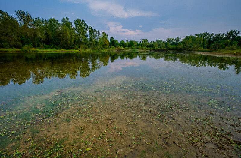 ohio new locations pond sky forest