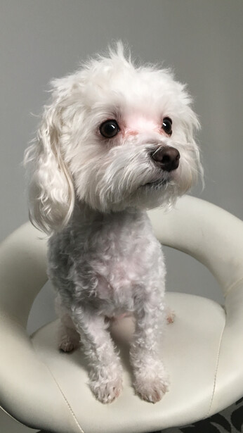 iphone image under low light studio lights
