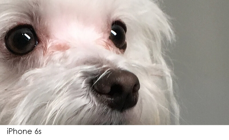 low light image with iphone