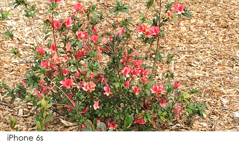 iPhone zoomed