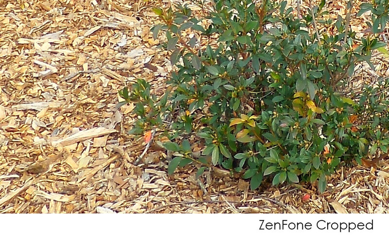 zenFone Cropped