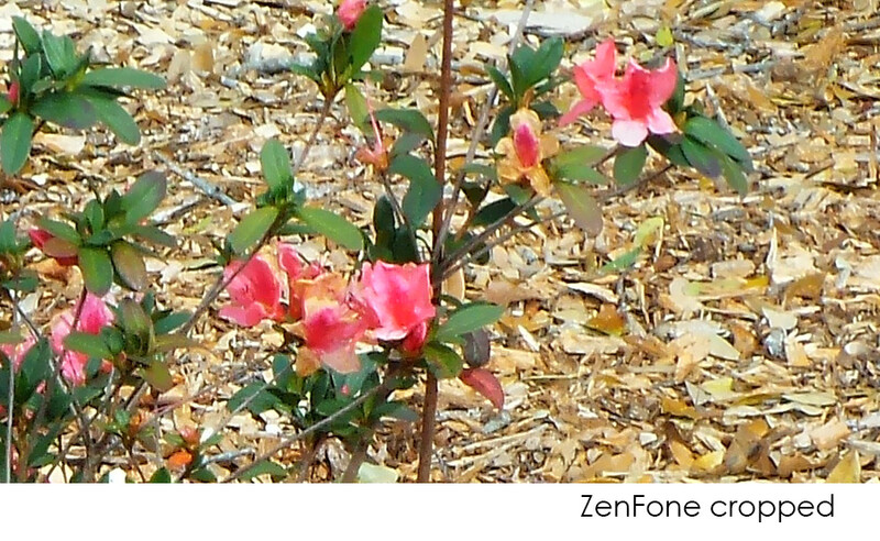 zenFone Cropped zoomed