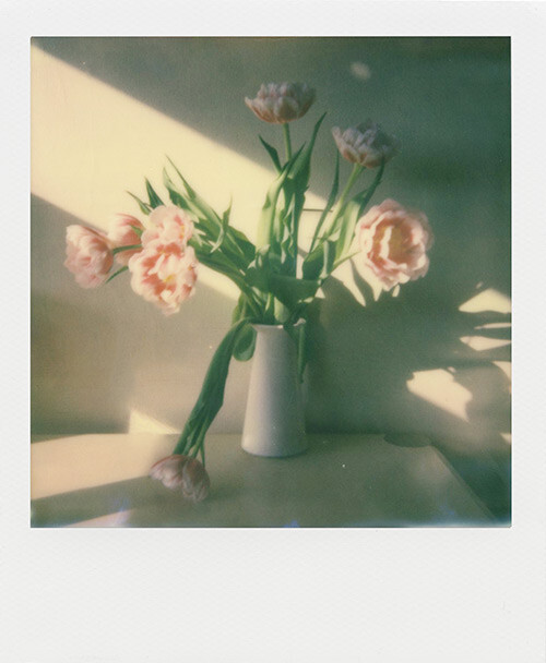 Impossible Project I-1 Sample Photo