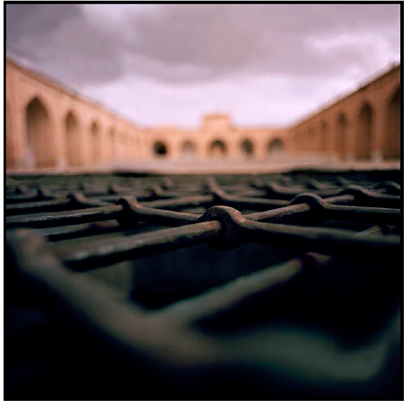 winner, photo, competition, Iran
