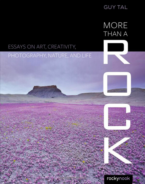 More Than a Rock by Guy Tal Book Cover