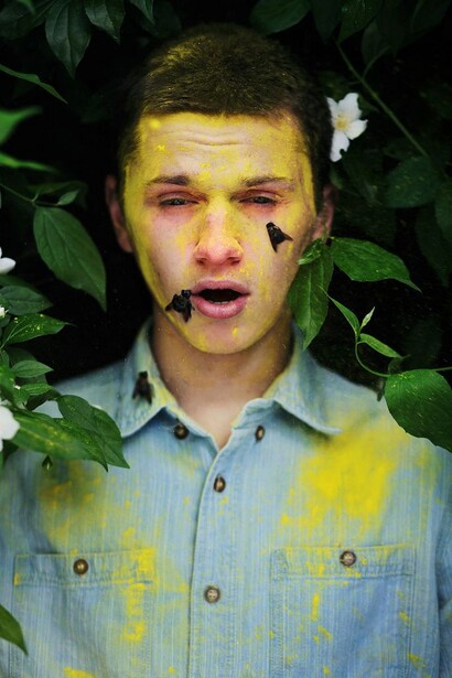 man, leaves, bees