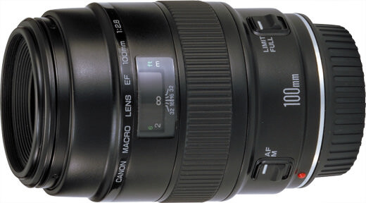 My Most Used Lens Is a Hidden Gem I Bought by Accident | Fstoppers