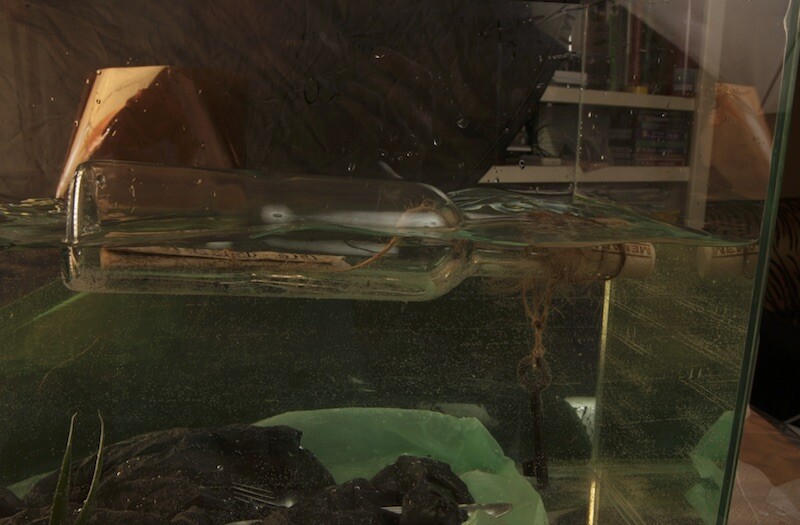 Bottle in fish tank
