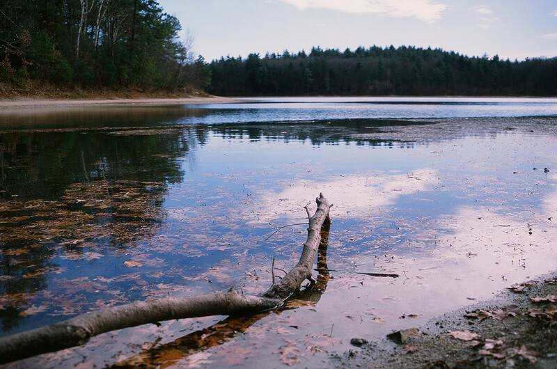 Agfa Precisa 100.