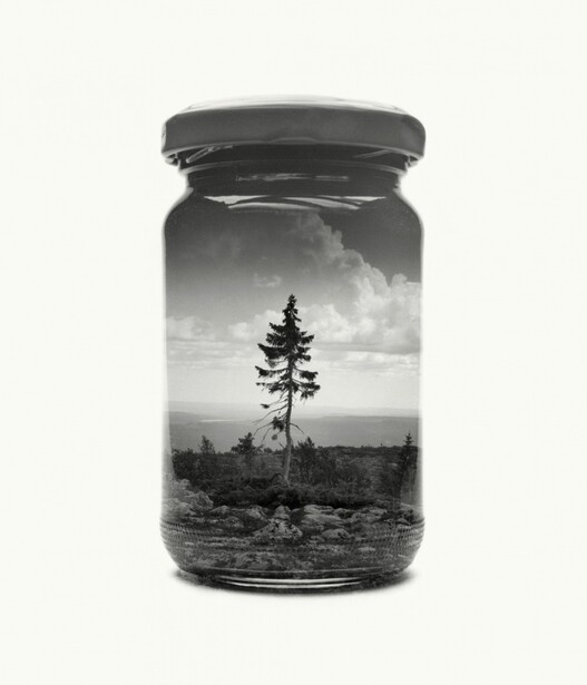 Tree, jar, clouds