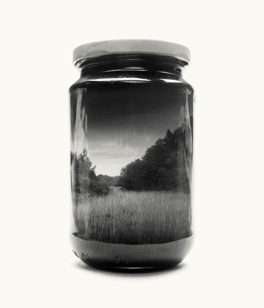 field, forest, jar