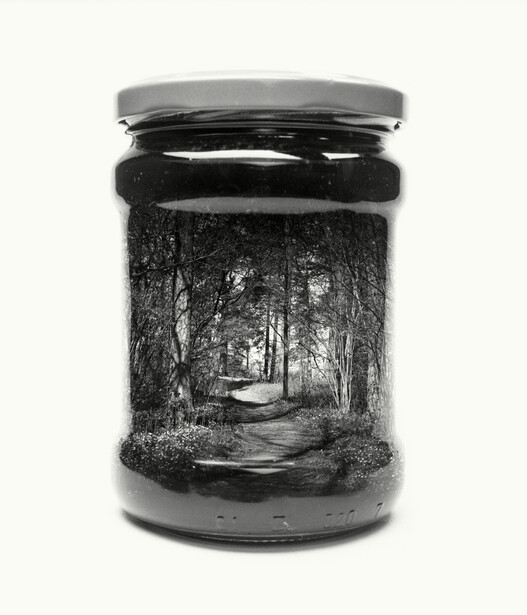 jar, path, forest